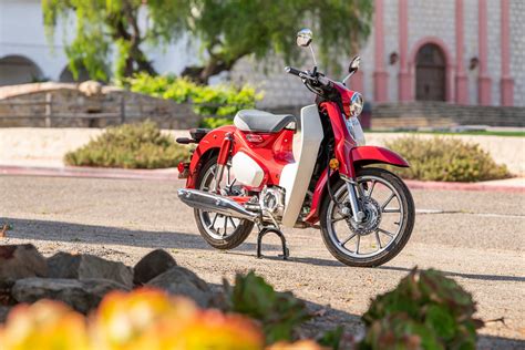 View Photos Of The 2020 Honda Supercub C125