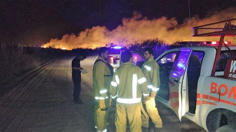 Los Incendios Quemaron M S De Mil Hect Reas Y Afectaron Al Bosque Nativo