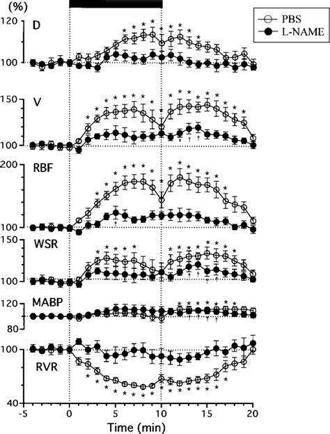 Time Course Of The Changes In Retinal And Systemic Circulation In