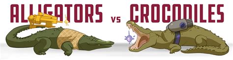 Alligators vs Crocodiles: A Reptilian Battle