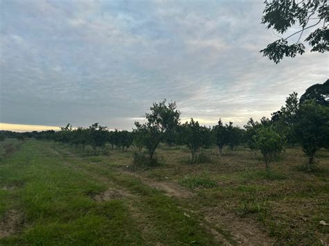 Sequías por cambio climático detrás de la crisis del campo veracruzano