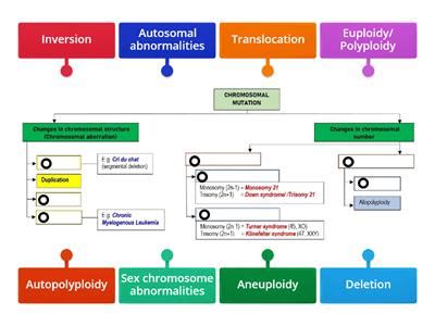 Chromosomal mutations - Teaching resources