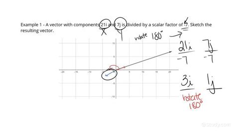 Dividing a Vector by a Scalar | Physics | Study.com