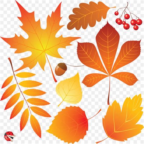 Autumn Leaves Drawing, PNG, 1596x1600px, Autumn Leaves, Art, Autumn ...