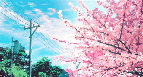 Sakura-tree GIFs - Find & Share on GIPHY