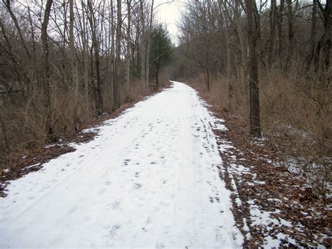 The Bartram Trail: bartram