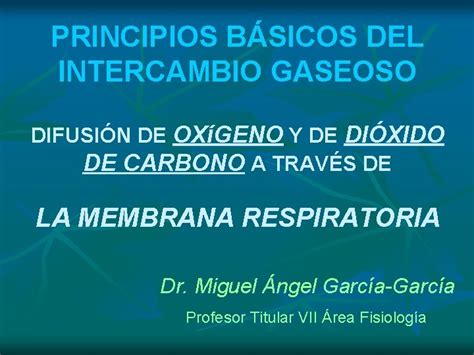 Principios Bsicos Del Intercambio Gaseoso Difusin De Oxgeno