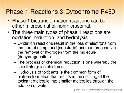 Ppt Chapter Biotransformation Powerpoint Presentation Free