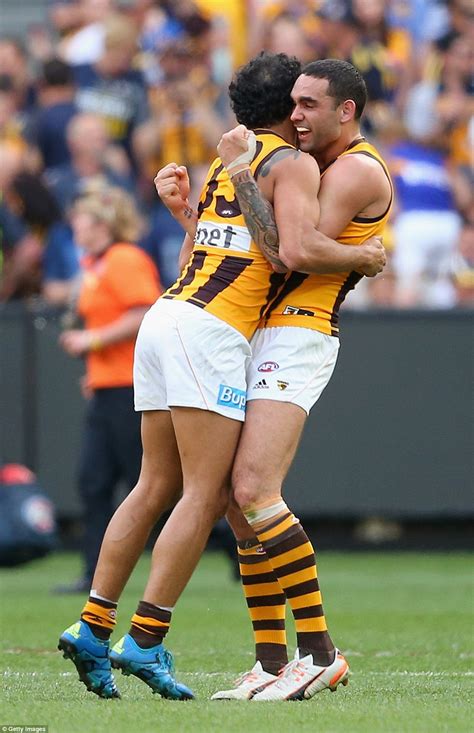 Afl Grand Final 2015 Sees Hawthorn And West Coast Eagles Battle For