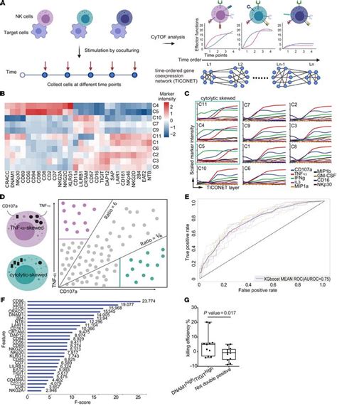 Jci Nk Cell Receptor And Ligand Composition Influences The Clearance