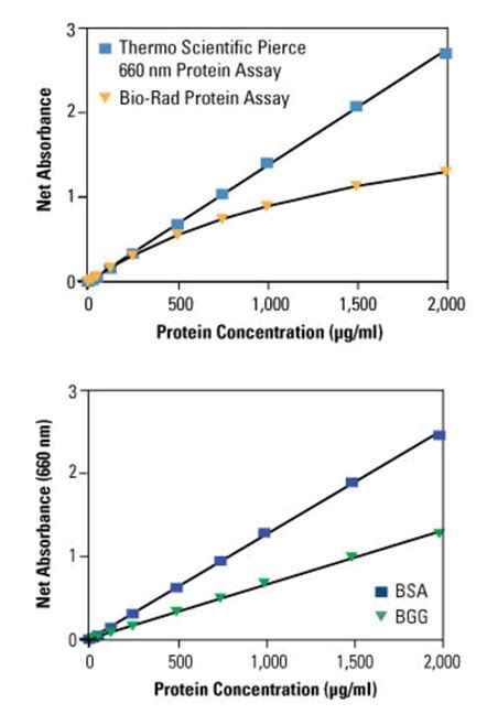 Bradford Assay Bradford Reagent Thermo Fisher Scientific In