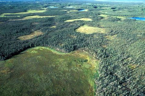 Free Picture Aerial National Park Forest