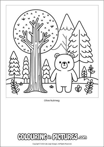 Olive Nutmeg By Colouring In Pictures Free Printable Bear Colouring Page