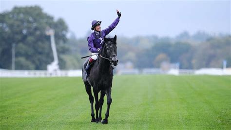 【bcターフ】英チャンピオンs覇者キングオブスティールは中1週で参戦！鞍上デットーリ 海外 競馬写真ニュース 日刊スポーツ