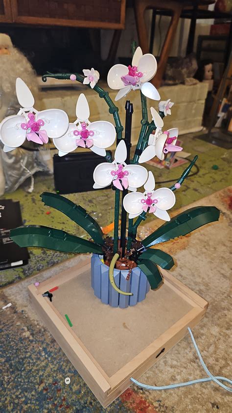 I finished my Lego Orchid Xmas present! Ta-daaaa! I think it turned out fairly well and looks ...