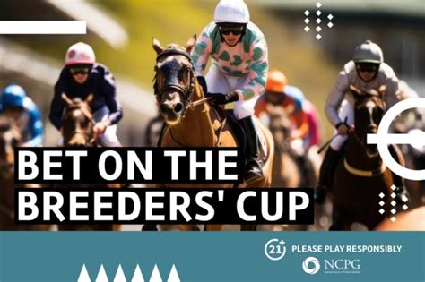 Breeders' Cup 2023 - preview, post positions, picks, odds and betting offers | The US Sun