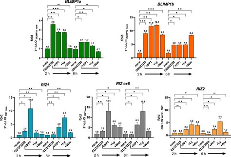 PRDM1 And PRDM2 Relative Gene Expression By QRT PCR Analysis In