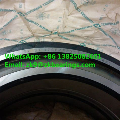 SL04170 D PP Full Complement Cylindrical Roller Bearing 170x230x80 Mm