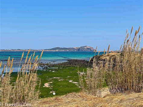 jeju olle trail budget  logistics travel  zen