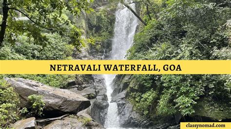 Netravali Waterfall Goa - Things to Know Before Visiting - Classy Nomad