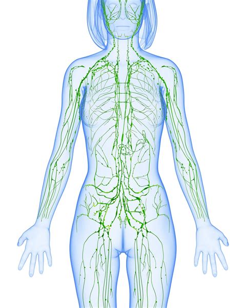 Let's move that Lymph! - Dr. Vosloo