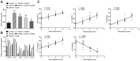 Mir 137 Prevents Inflammatory Response Oxidative Stress Neuronal