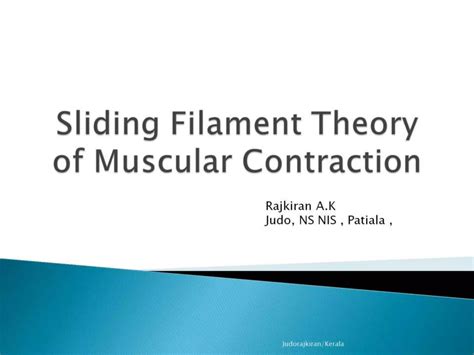 simple steps of sliding filament theory 9