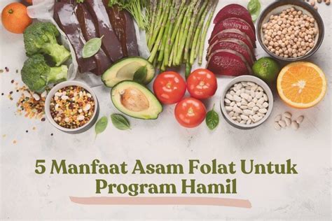 Manfaat Asam Folat Untuk Program Hamil Dan Kesehatan