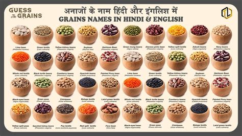 Different Types Of Grains List