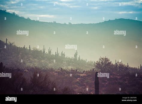 Fog Hovering Over The Mountains Of Central Arizona With Saguaro Cactus