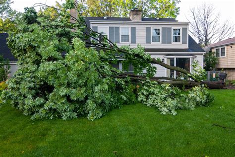 What To Do When You Have Storm Damage