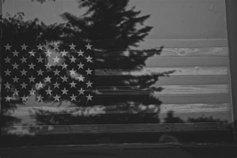 American Flag Grayscale Photo Of Tree During Daytime America Image Free ...