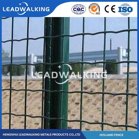 Leadwalking X Pvc Coated Welded Wire Mesh Suppliers Oem Customized