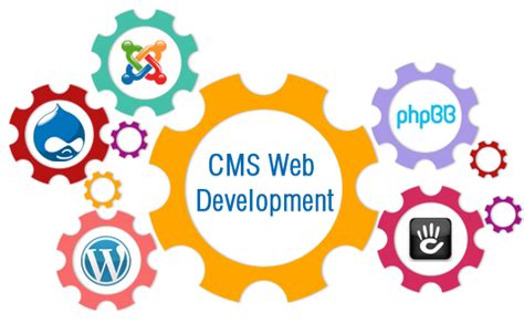 Some Importance Of Cms Development Services