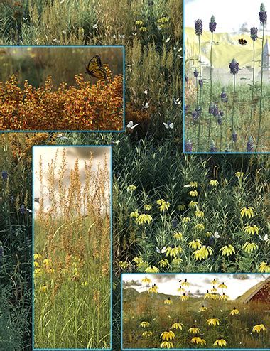 Prairie Grass and Flower Plant Collection | Daz 3D