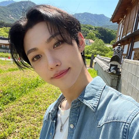 Lee Felix Yongbok Skz Stray Kids Selca Icon Pfp Kpop