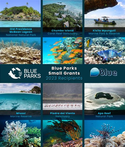 Six Marine Conservation Projects Awarded Blue Parks Small Grants