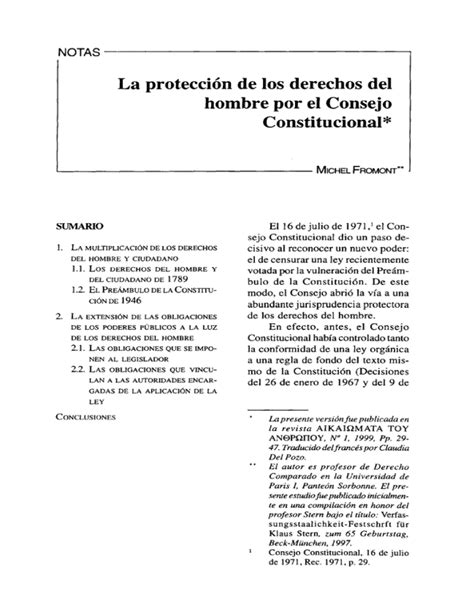 La Protección De Los Derechos Del Hombre Por El Consejo