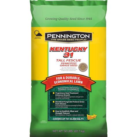 Pennington Kentucky Lb Tall Fescue Penkoted Grass Seed