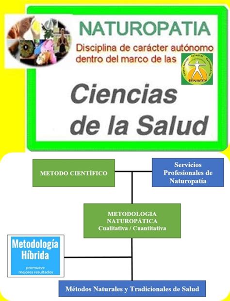 La Naturopat A Como Rea Del Saber Humano De Car Cter Pr Ctico Consiste