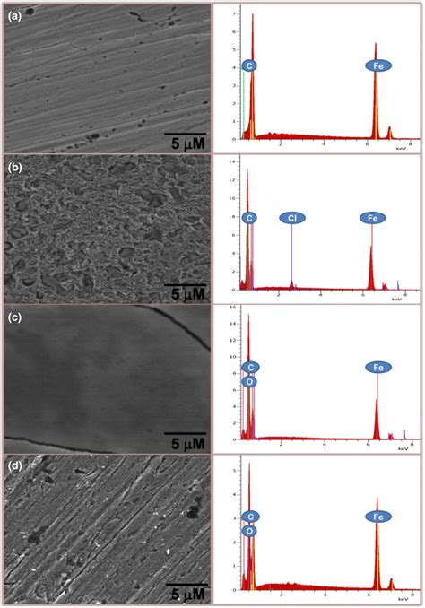 Sem Images And Edx Spectrum Of Mild Steel In 1 0 M Hcl Solution A Download Scientific Diagram