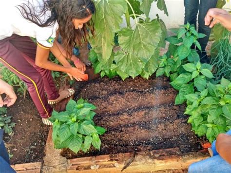 PLANTIO DE HORTA ENVOLVE ESTUDANTES DO PIAUÍ E BAHIA Programa Escola