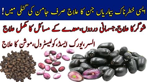 Jamun Ke Beej Ghutli Ke Fayde Java Plum Seeds Benefits Jamun Ki