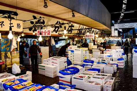 People Working at Tsukiji Market in Tokyo, Japan · Free Stock Photo