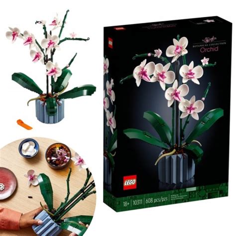 Lego Creator Expert Orchidea Bukiet Kwiat Storczyk Allegro Pl