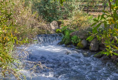 Rivers In Israel 4