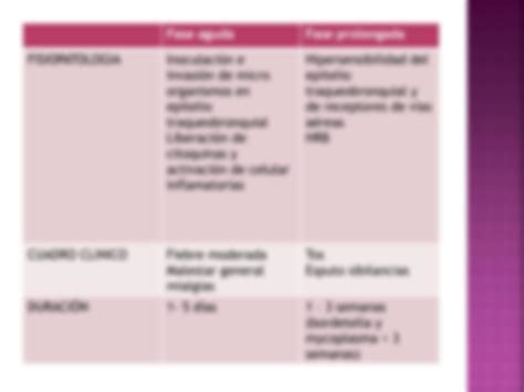 Solution Manejo De La Bronquitis Aguda Fisioterapia Studypool