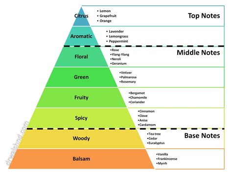 Layering Fragrances A Comprehensive Guide To Combining Scents