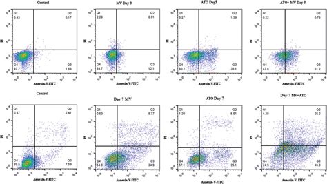 Apoptosis Analysis Using AnnexinV PI Staining NB4 Cells Were Treated