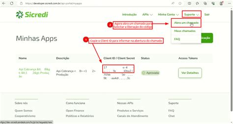 Sicredi Api V Como Gerar A X Api Key Explore O Universo De